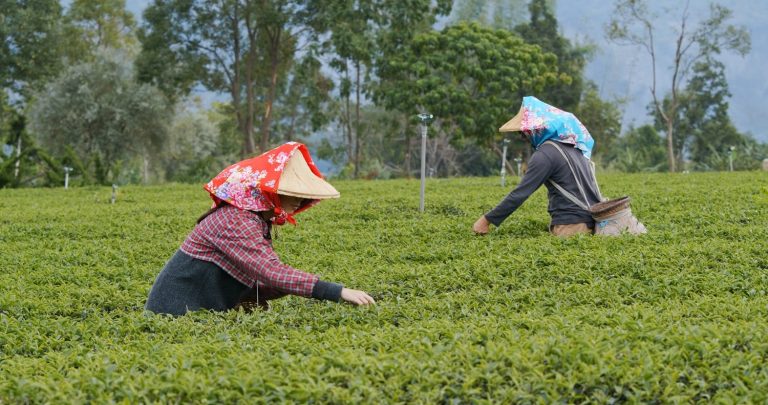 Compilation of Migration (IMMI 18/085: Arrangements for Temporary Work and Temporary Activity Visa Applications) Instrument 2018