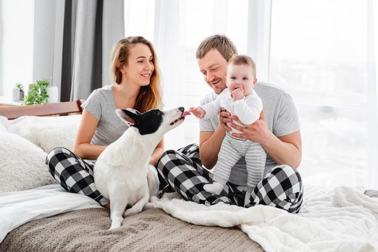 Migration (Arrangements for New Zealand Citizen (Family Relationship) visa applications) Amendment Instrument (LIN 22/062) 2022