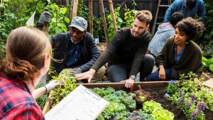 Operation Flint: Joint Crackdown Targets Horticulture Non-Compliance in Griffith, NSW